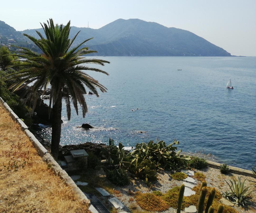 Il Grecale Διαμέρισμα Recco Εξωτερικό φωτογραφία